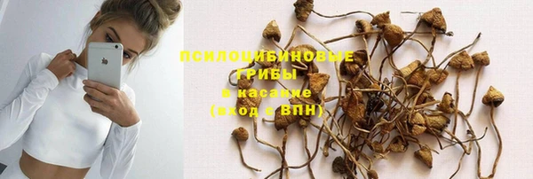 таблы Аркадак