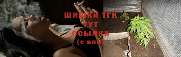 крисы Арсеньев