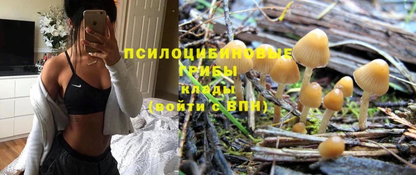 таблы Аркадак