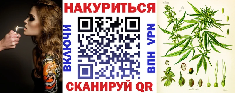 Конопля план  цены   Сясьстрой 